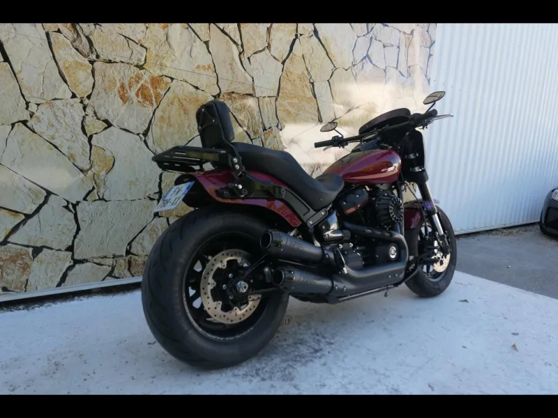 HARLEY-DAVIDSON + Options