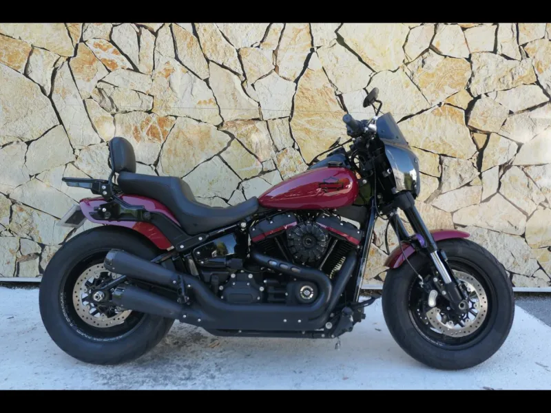 HARLEY-DAVIDSON + Options