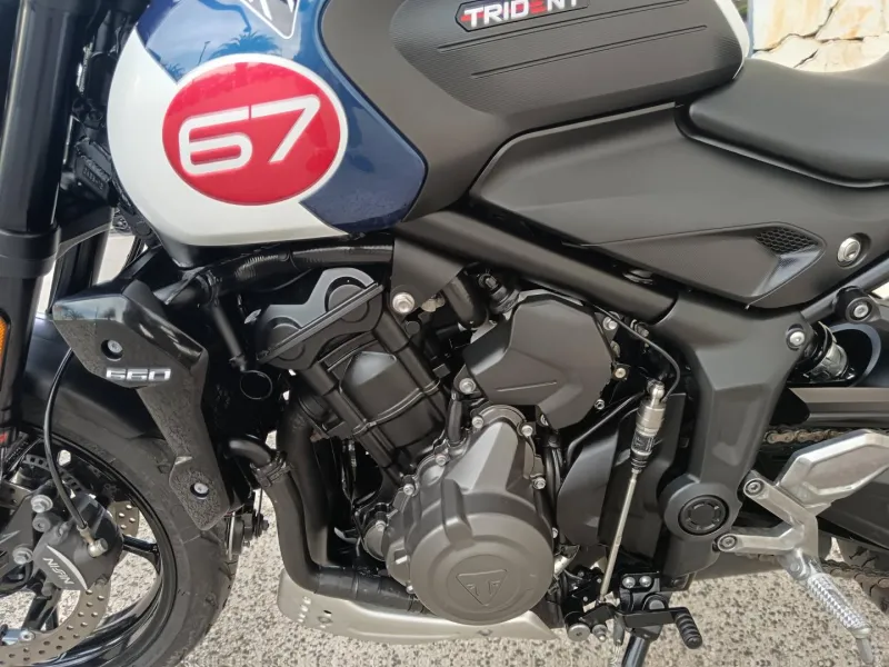 TRIUMPH 660 82cv Tribute Edition