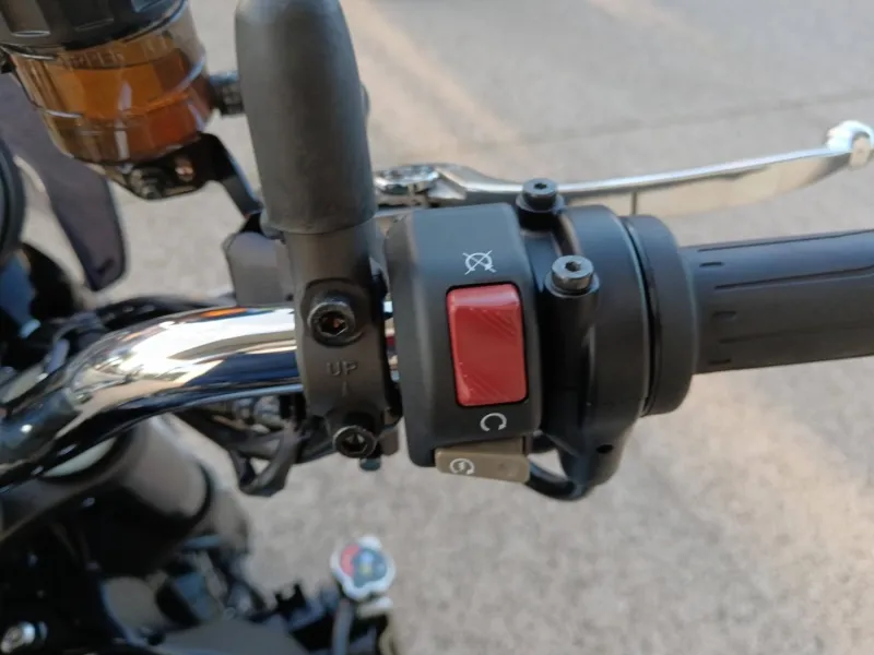 KAWASAKI 900 2026 + OPTIONS